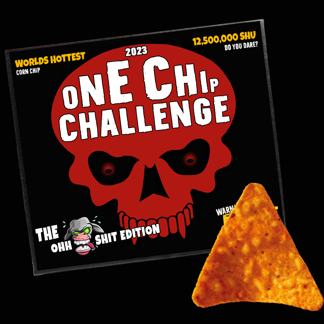 2023 One Chip Challenge Hot Chip